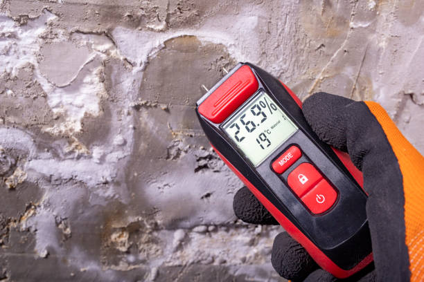 Best Mold Testing  in Hays, MT